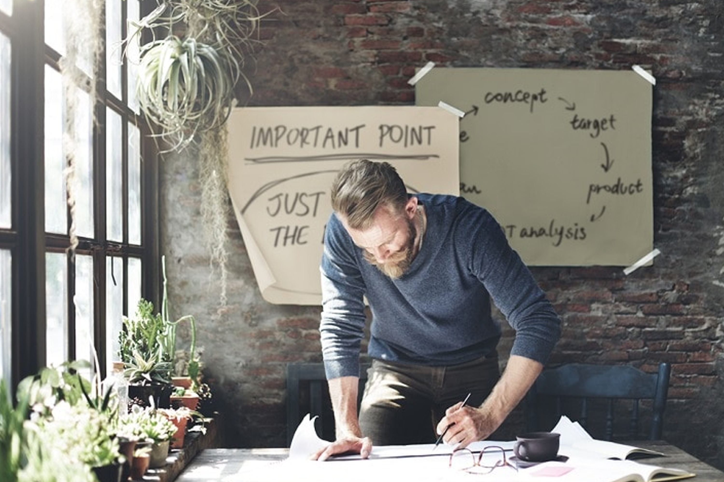New Startups